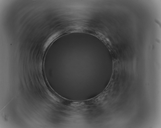 X0000091350051200708241257
