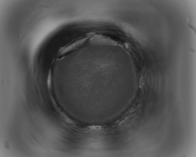 X0000091350052200708241257