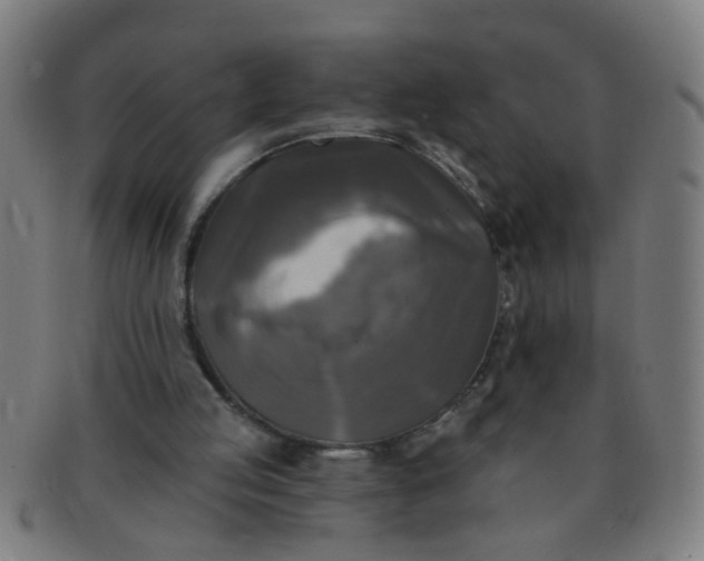 X0000091350053200708241257