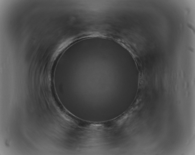 X0000091350055200708241257