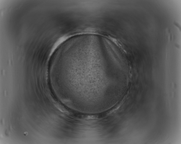 X0000091350056200708241257