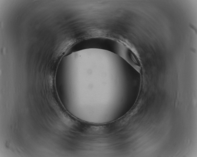 X0000091350057200708241257