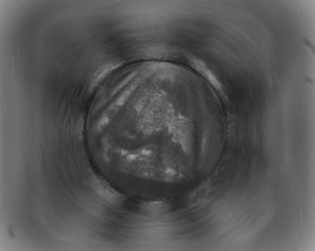 X0000091350058200708241257