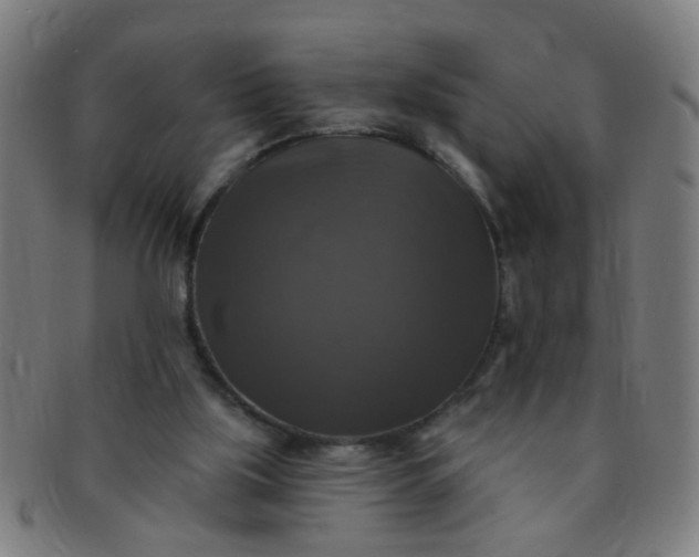 X0000091350059200708241257