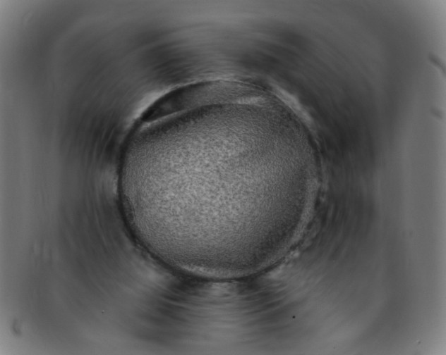 X0000091350060200708241257