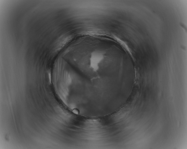 X0000091350061200708241257