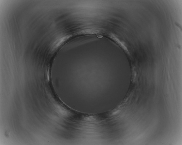 X0000091350062200708241257