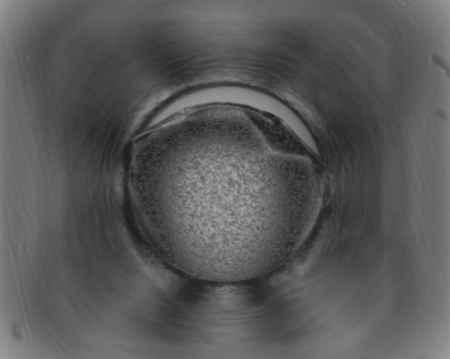 X0000091350064200708241257