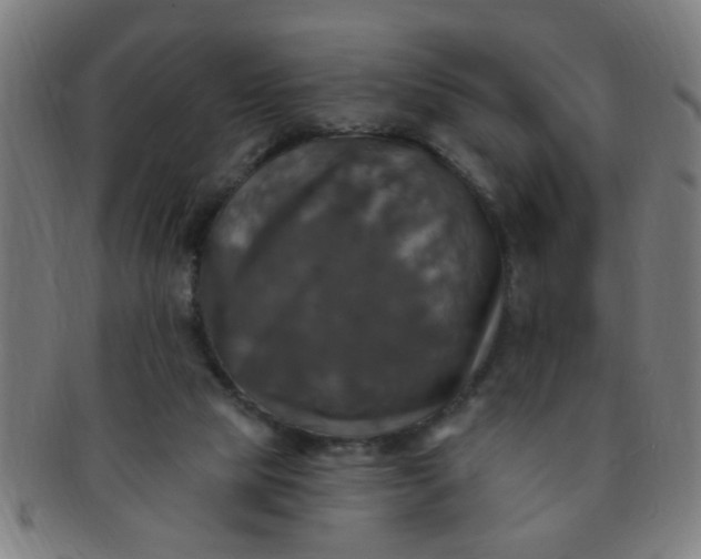 X0000091350065200708241257