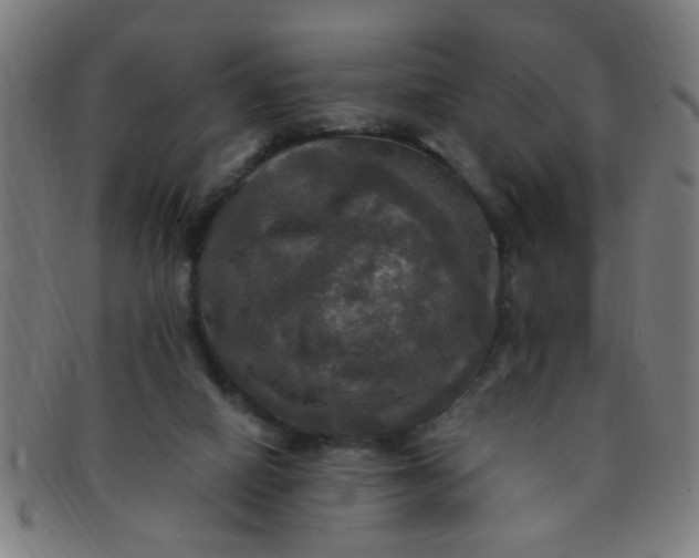 X0000091350066200708241257