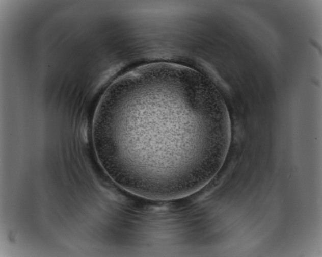 X0000091350068200708241257