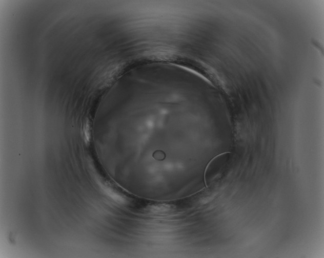 X0000091350069200708241257