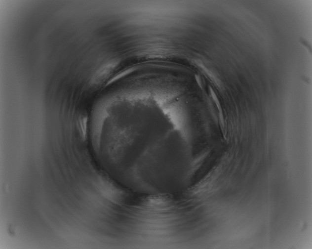 X0000091350070200708241257