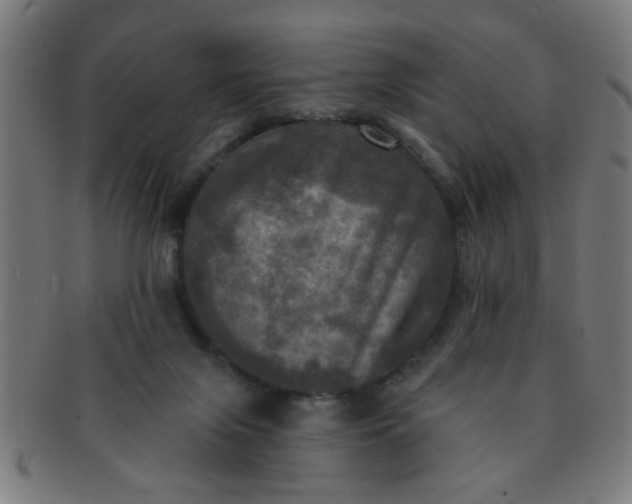 X0000091350071200708241257