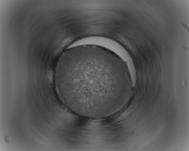 X0000091350072200708241257