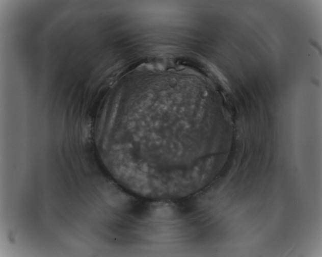 X0000091350073200708241257