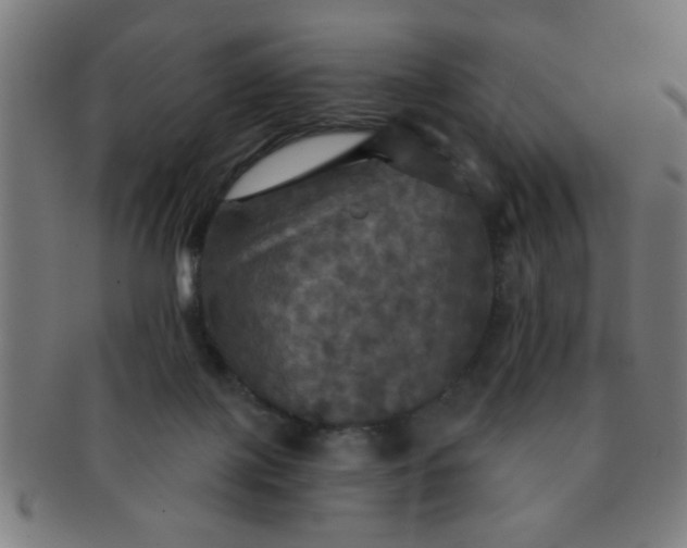 X0000091350075200708241257