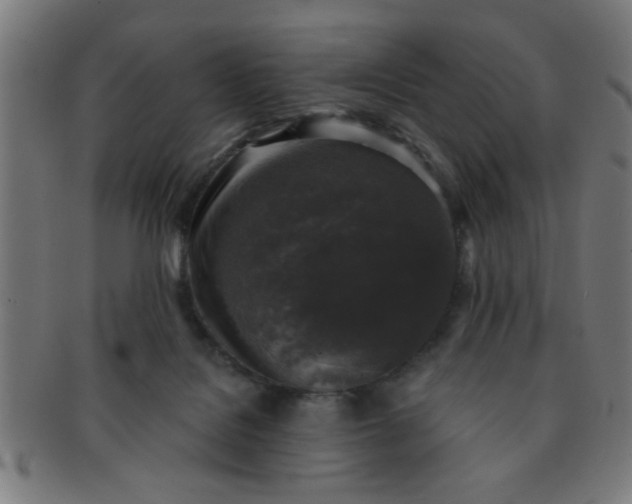 X0000091350076200708241257