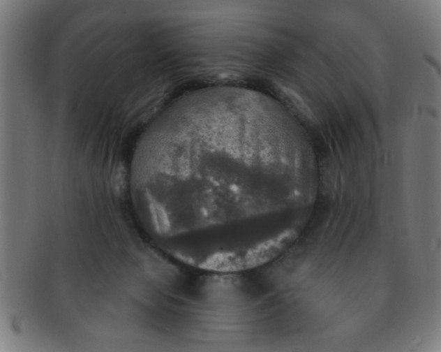 X0000091350077200708241257