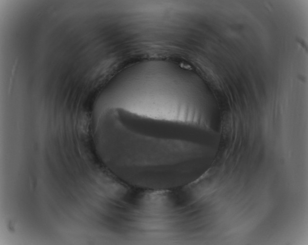 X0000091350078200708241257