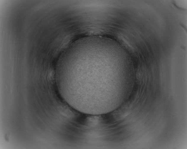 X0000091350079200708241257