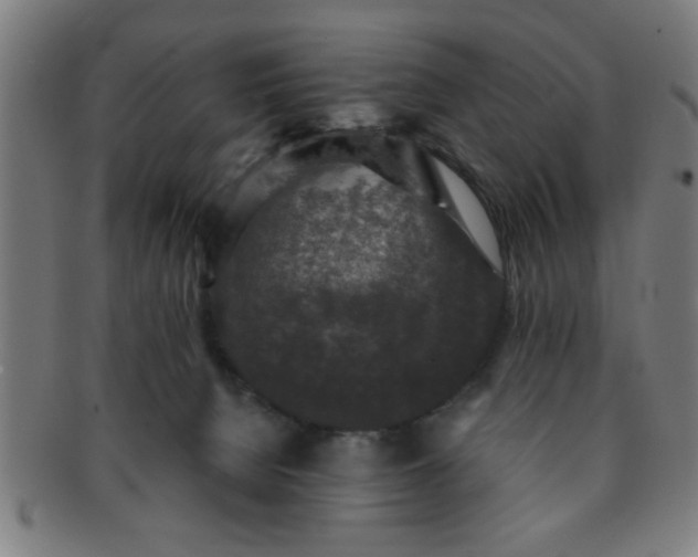 X0000091350080200708241257