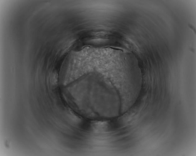 X0000091350081200708241257