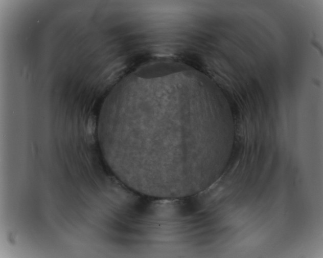 X0000091350082200708241257
