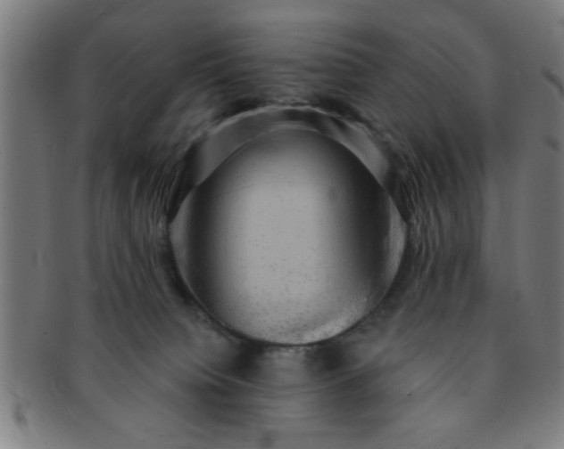 X0000091350084200708241257