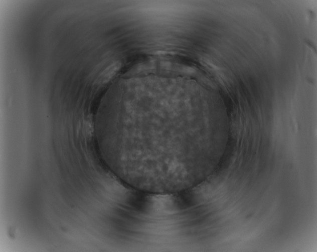 X0000091350085200708241257