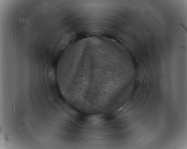 X0000091350086200708241257