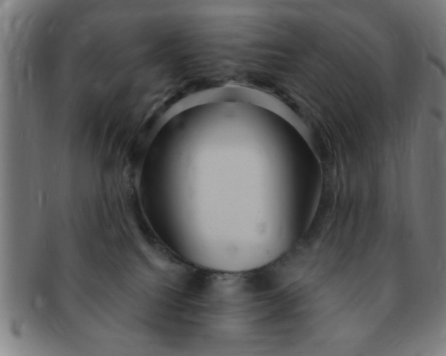 X0000091350088200708241257