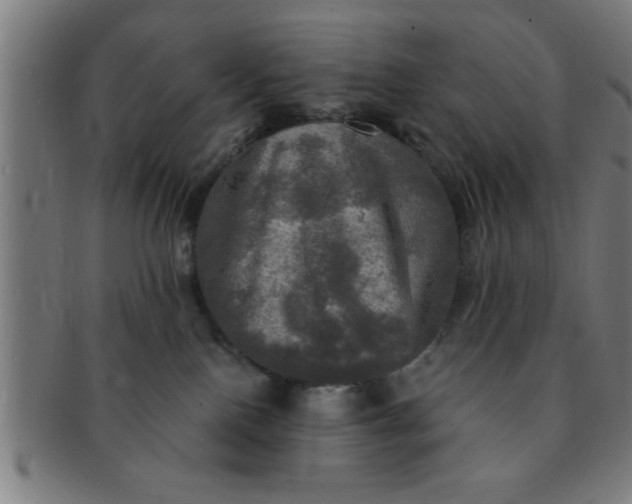 X0000091350090200708241257