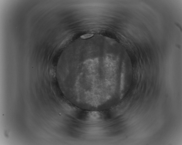 X0000091350091200708241257