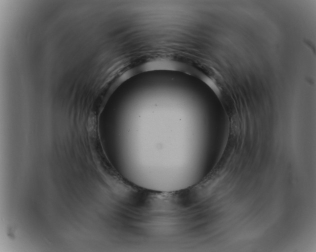 X0000091350092200708241257