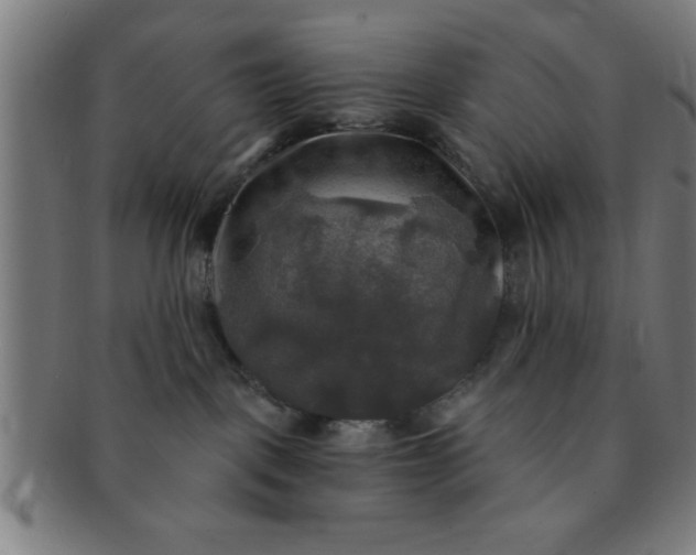 X0000091350093200708241257