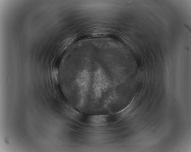 X0000091350094200708241257