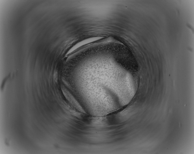 X0000091350096200708241257