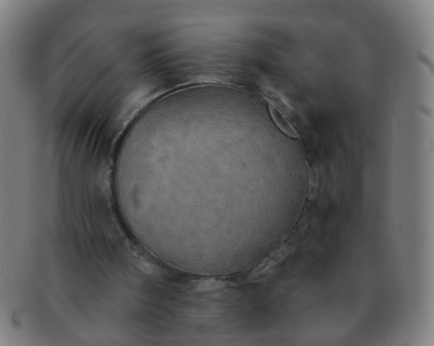 X0000091350098200708241256