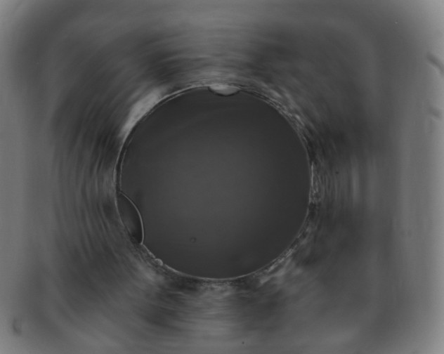 X0000091350099200708241256