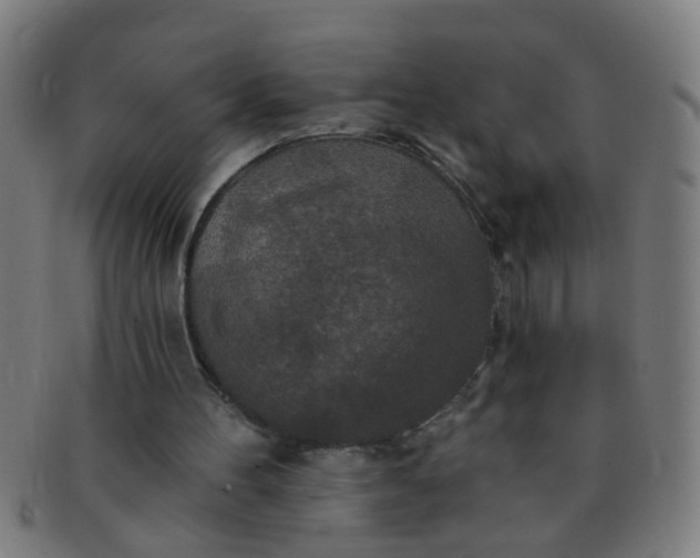 X0000091350100200708241256