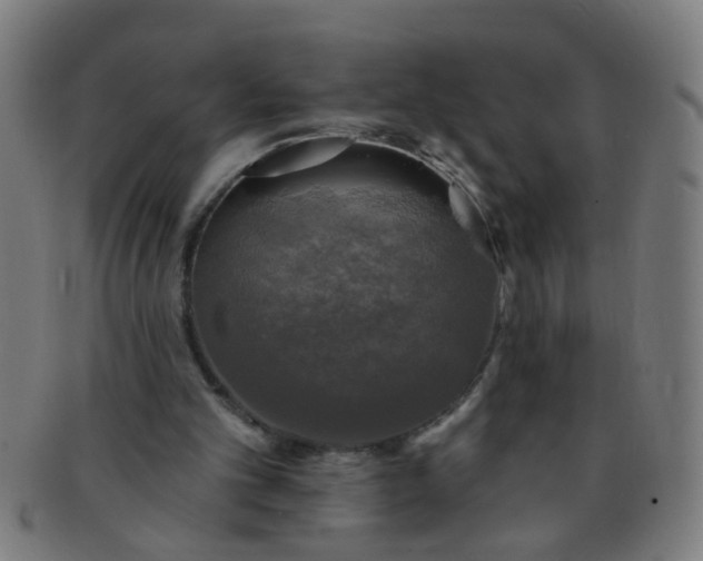 X0000091350101200708241256