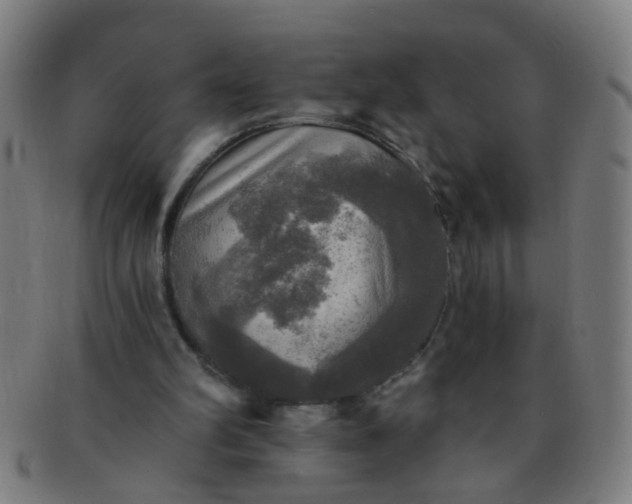 X0000091350102200708241256
