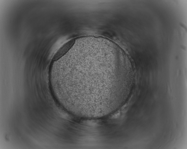 X0000091350103200708241256