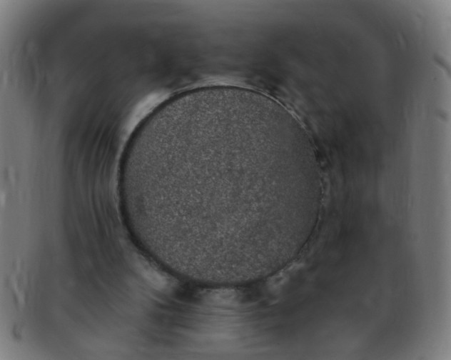 X0000091350104200708241256