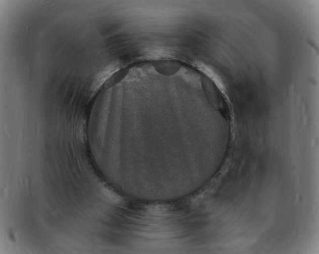 X0000091350105200708241256