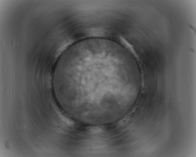 X0000091350106200708241256