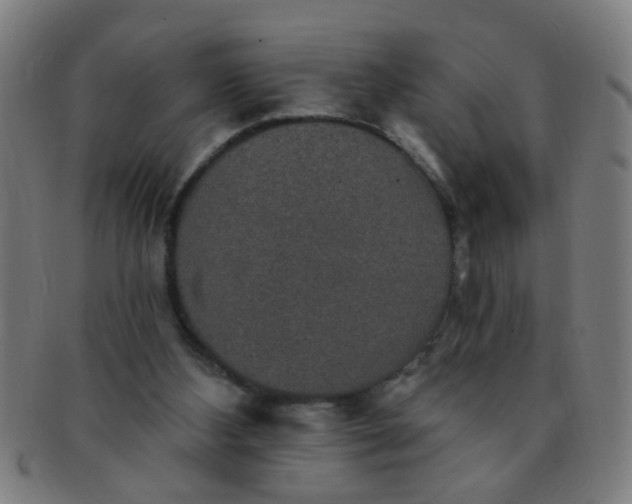 X0000091350108200708241256