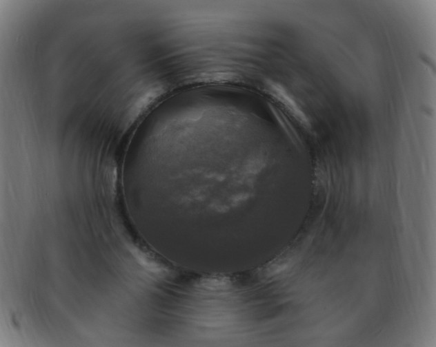 X0000091350110200708241256