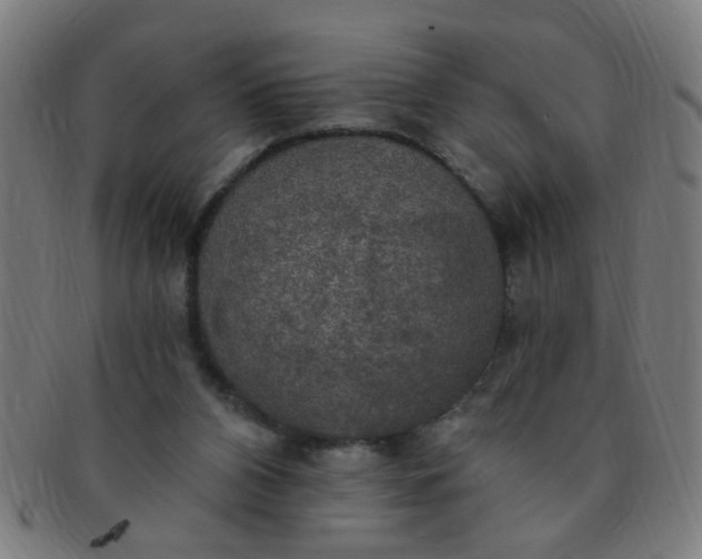 X0000091350112200708241256
